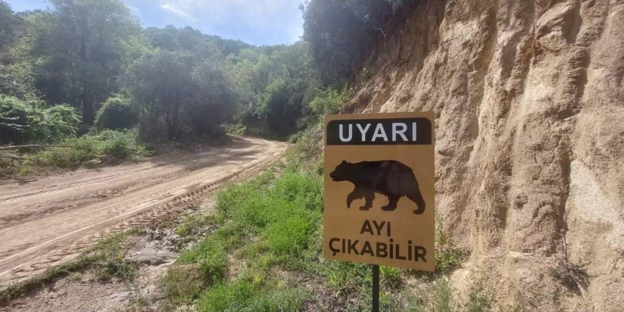 Ayı Uyarısı Levhalara Taşındı