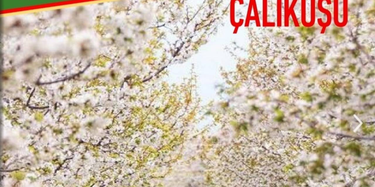 Afyonkarahisar 81 Çalıkuşu E-dergisinin 9. Sayısı Yayımlandı