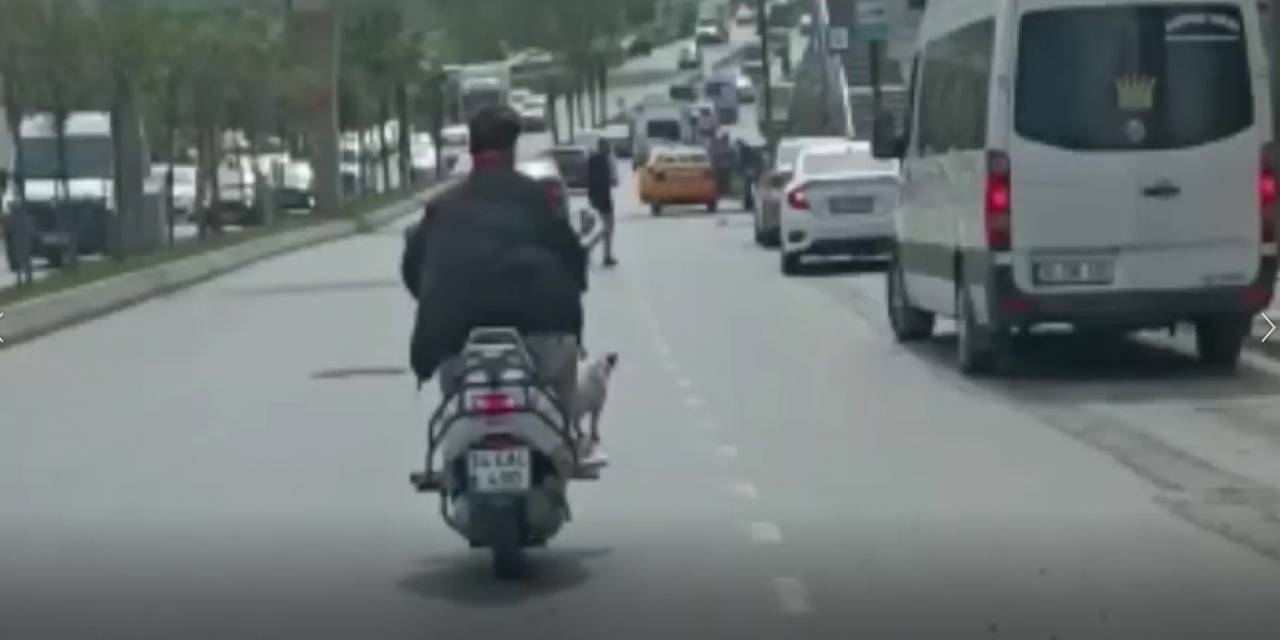 Bahçelievler’de Köpekle Tehlikeli Yolculuk Kamerada