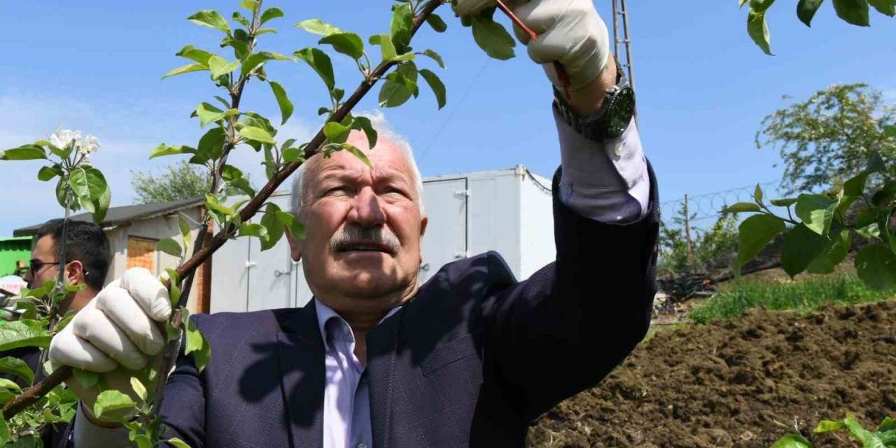 Lapseki’de Tarla Günü Programı Gerçekleşti