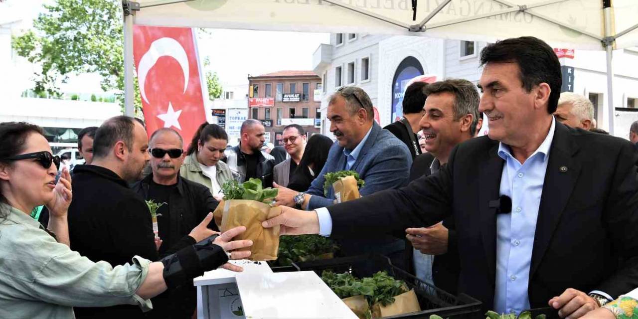 Osmangazi Belediyesi 1 Milyon Sebze Fidesi Dağıttı