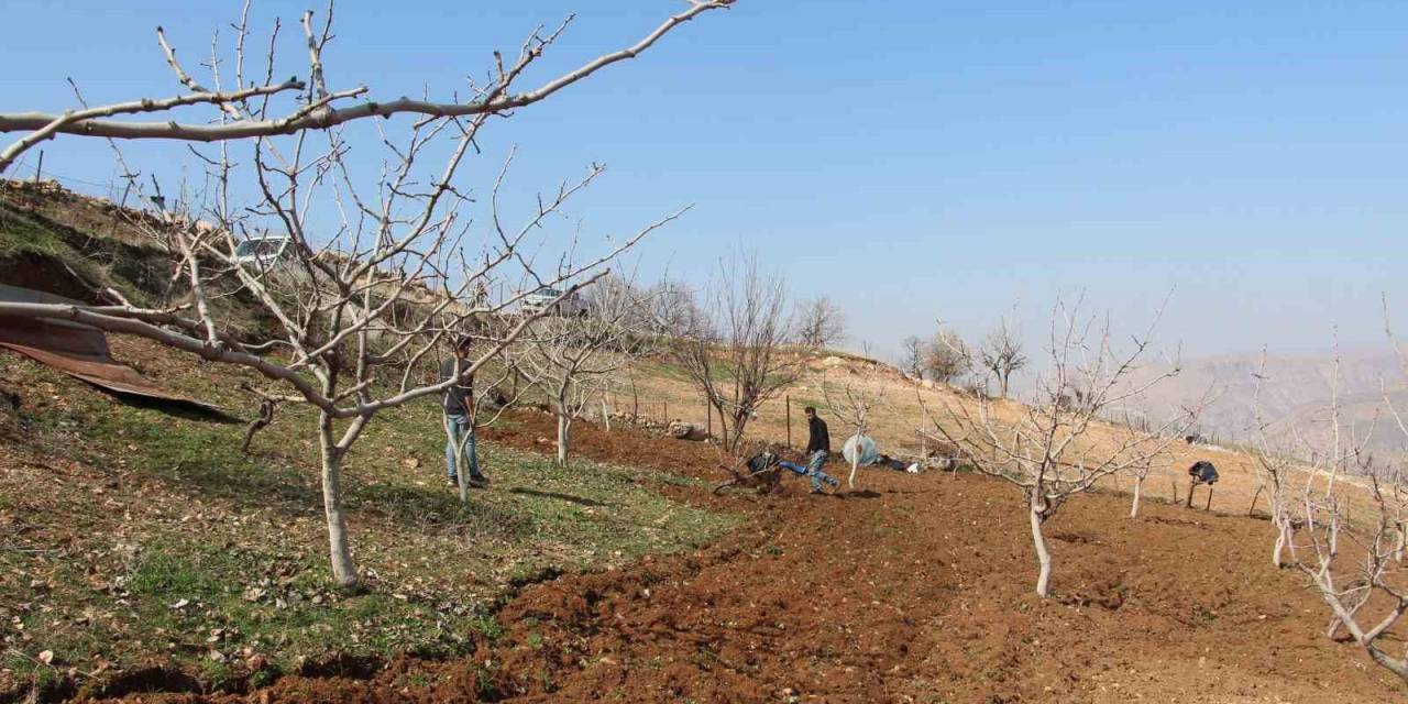 Siirt’te Çks Başvuru Süresi 8 Mayıs’ta Sona Eriyor