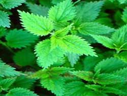 Cincel gücü artıran müthiş karışım