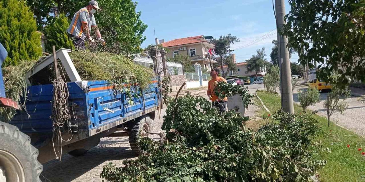 Ayvalık’ta Sezon Öncesi Detaylı Temizlik