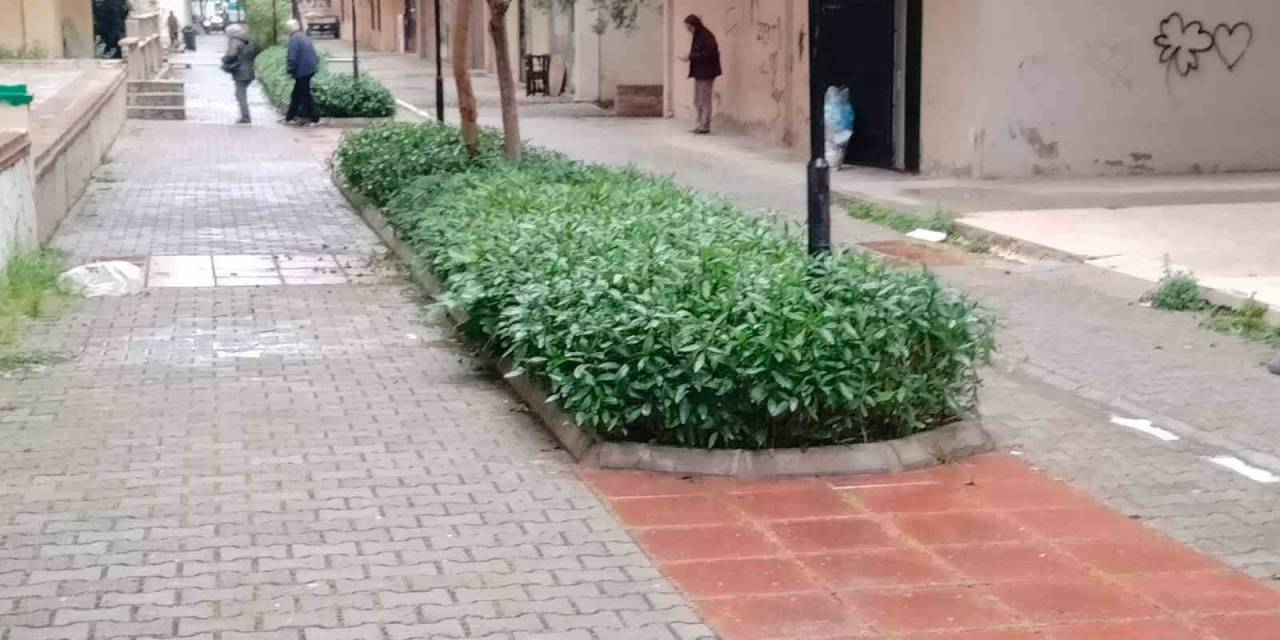 Apartmandan Düşen Genç Hayatını Kaybetti