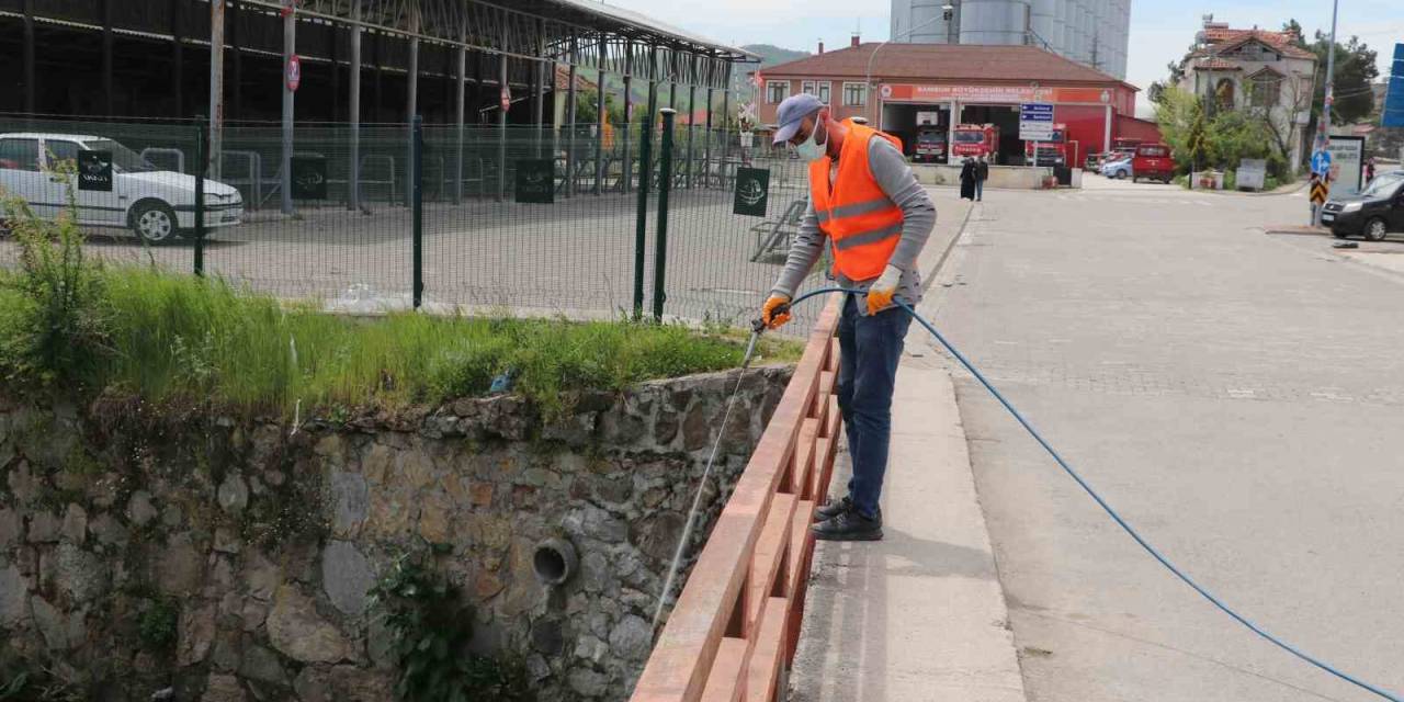 Tüm İlçeyi Haşereye Karşı İlaçladılar