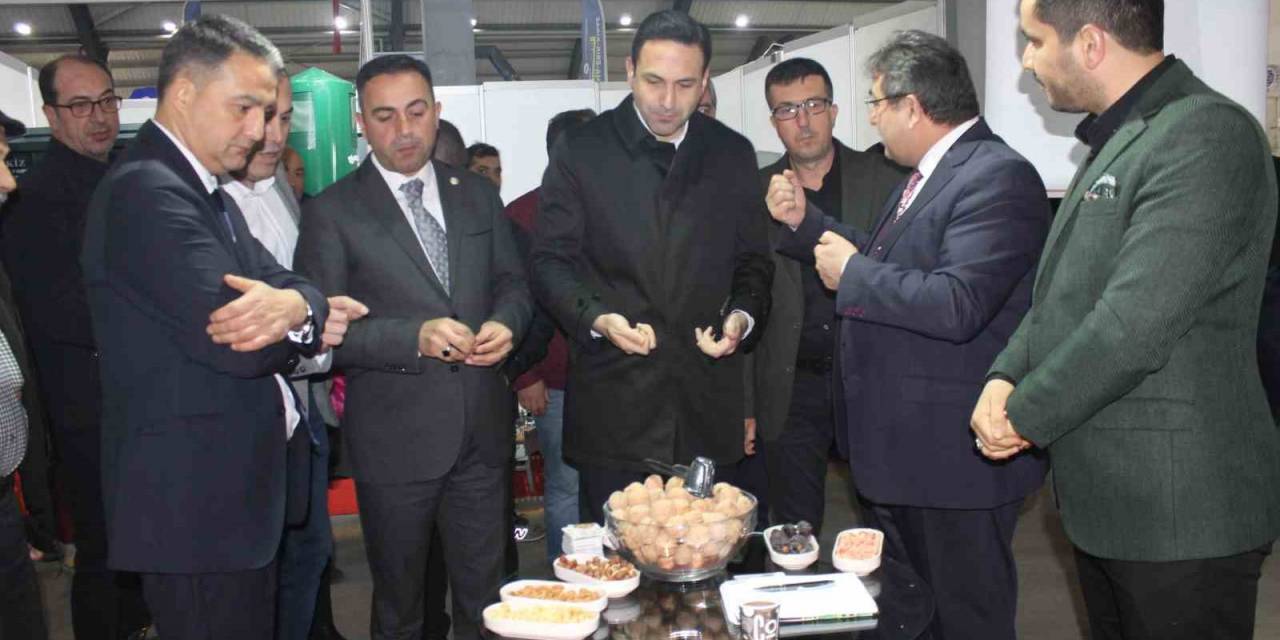 Biga’da Ceviz Ve Badem Festivali Başladı