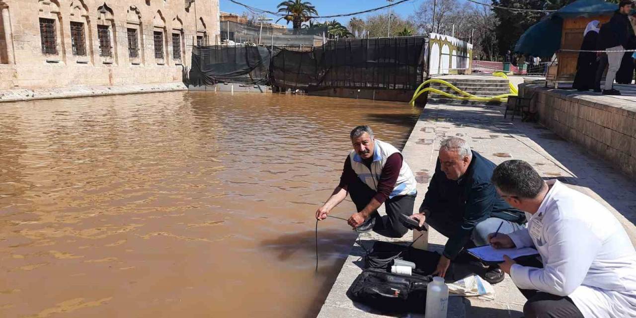 Elazığ Su Ürünleri Araştırma Enstitüsü, Balıklıgöl’de İnceleme Yaptı