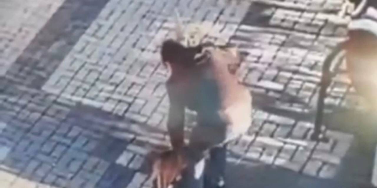 14 Yaşındaki Çocuk Kediyi Mala İle Dövdü