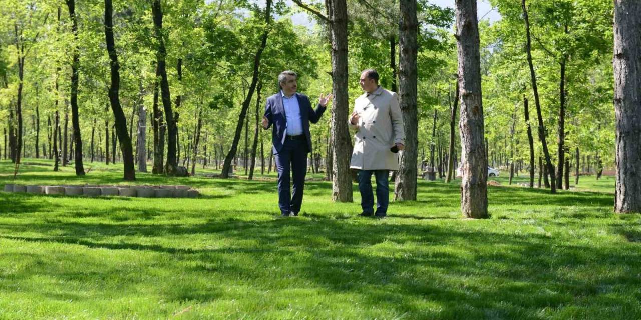 700 Yıllık Osmanlı Köyü Cumalıkızık’a 100 Bin Metrekarelik Orman Parkı