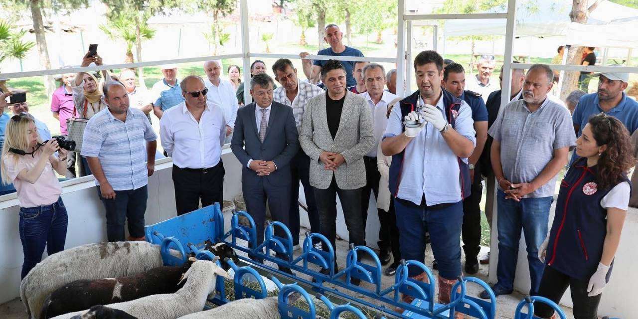 Aşı Kampanyası Aliağalı Üreticilere 28 Milyonluk Katkı Sağladı