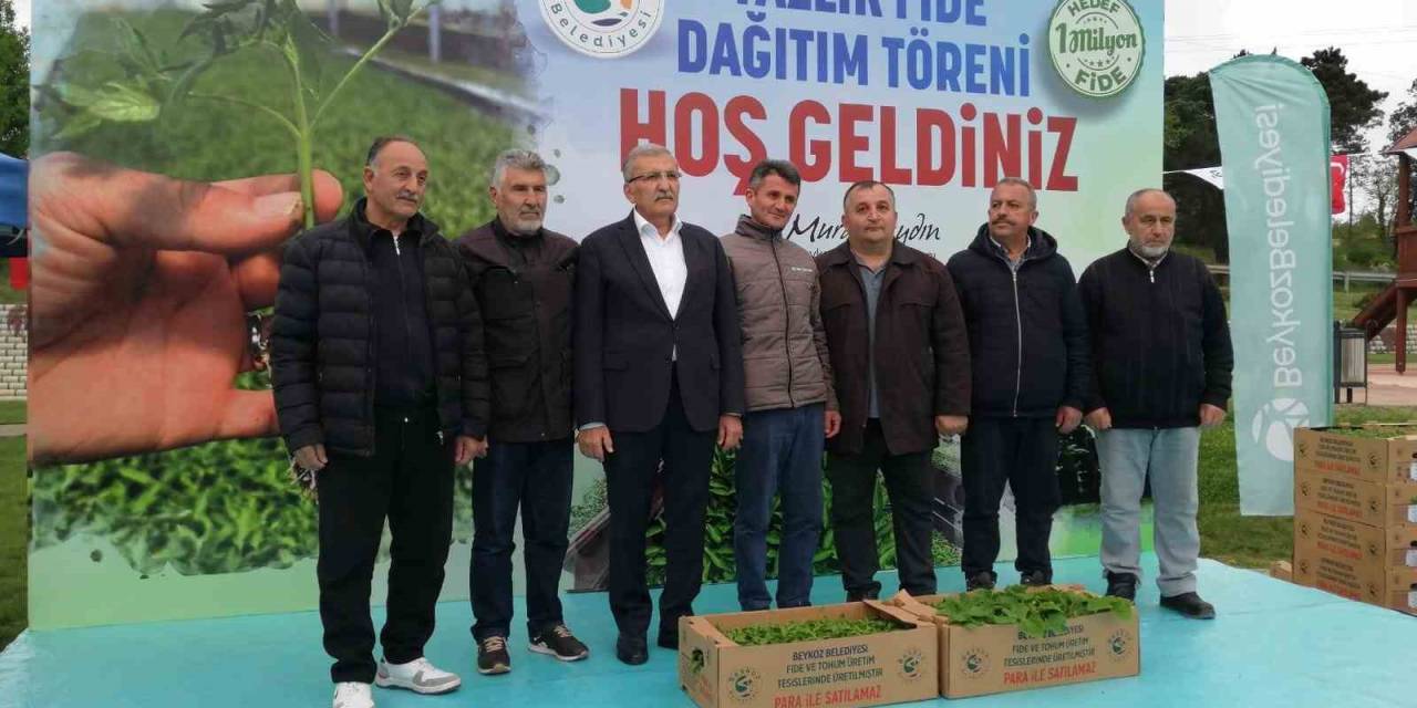 Beykozlu 11 Üreticiye 25 Bin Fide Dağıtıldı