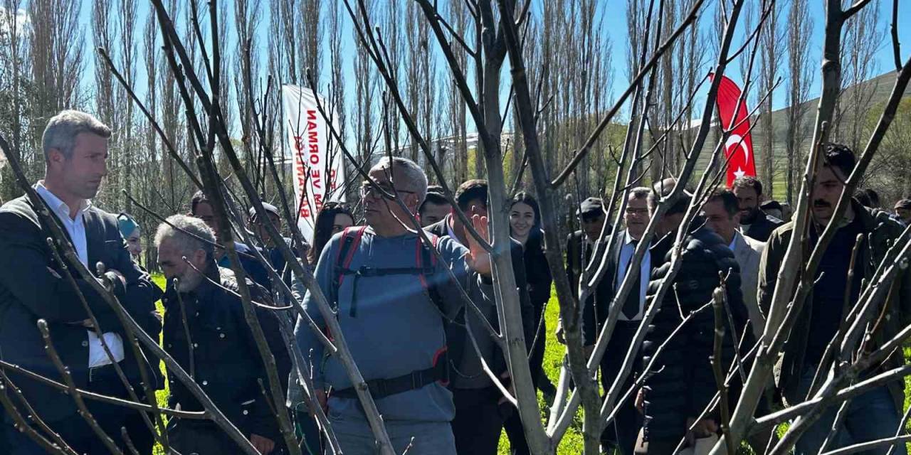 Çiftçilere Budama Eğitimi