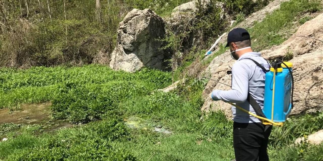 Hakkari’de Sineklere Karşı İlaçlama Çalışmaları