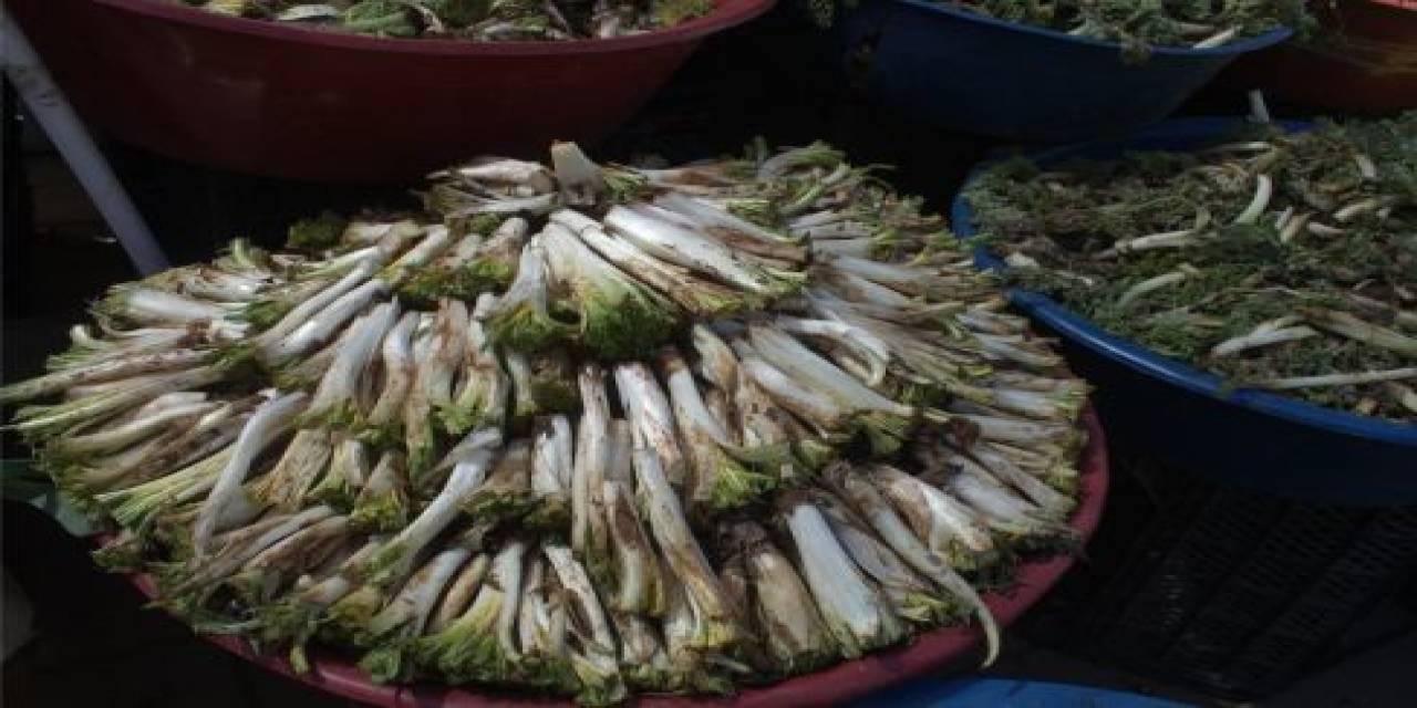 Şifalı Otlar Tezgâhlardaki Yerini Aldı