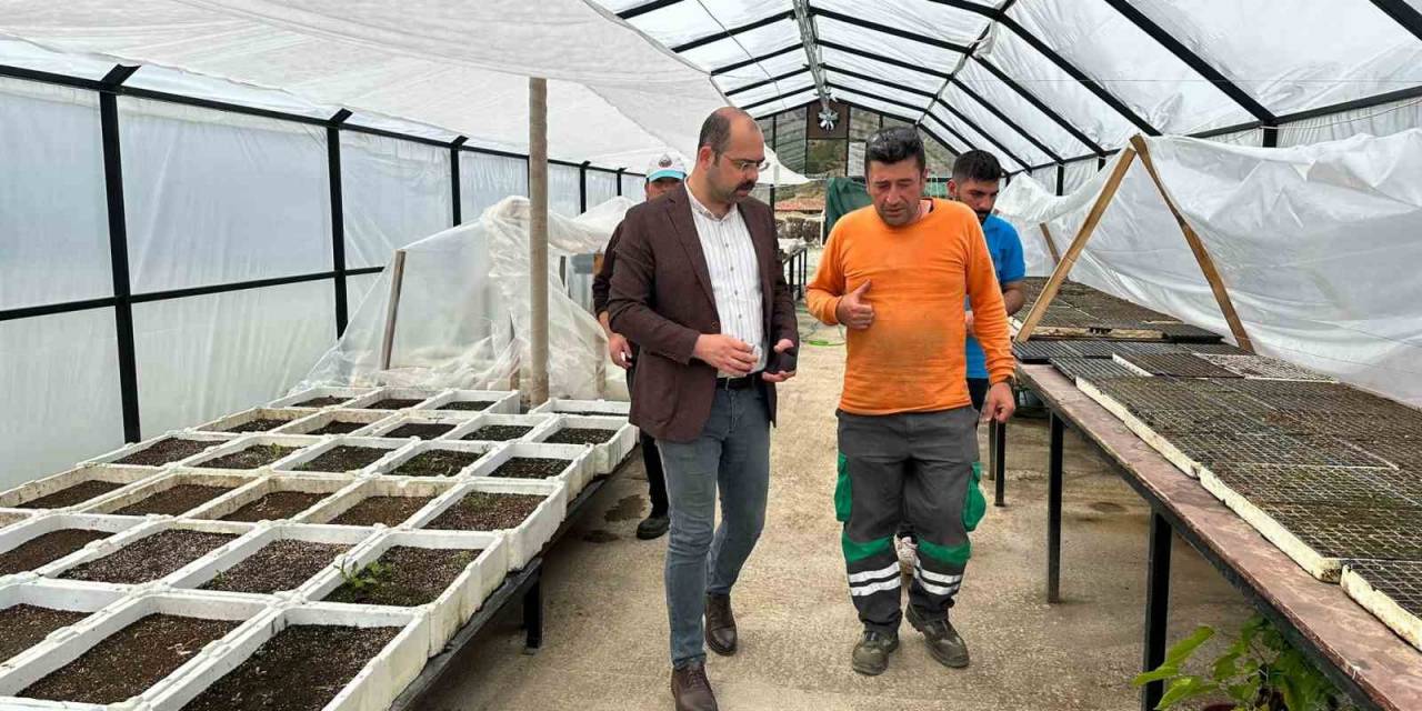 Tosya Belediyesi İlçeyi Botanik Bahçesine Kavuşturacak