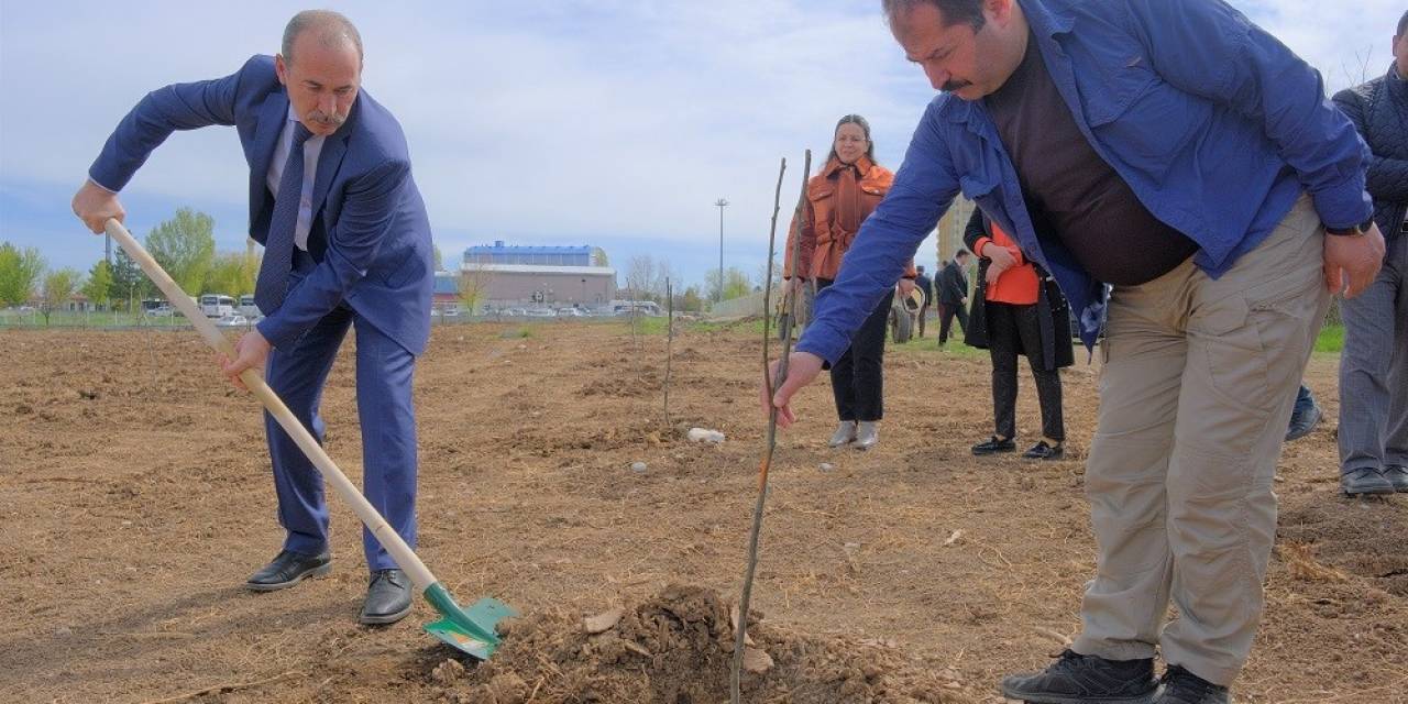 Dikilen Fidanlardan Elde Edilen Gelir Öğrencilere Burs Olacak