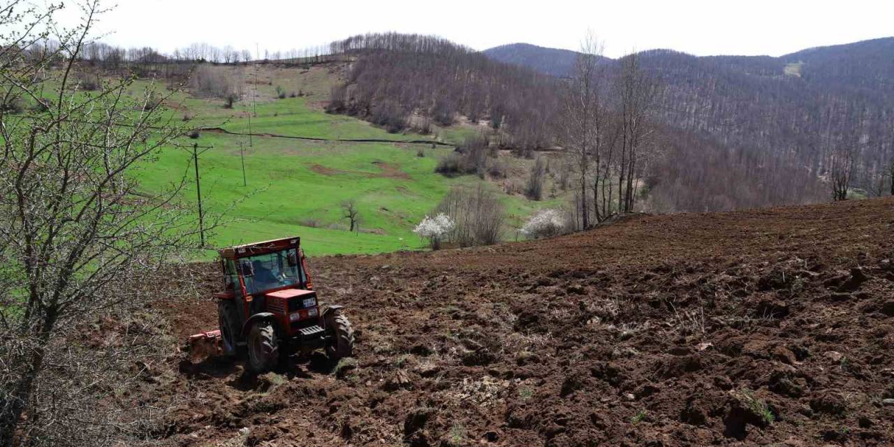 Ordu’da Tarım Atağı