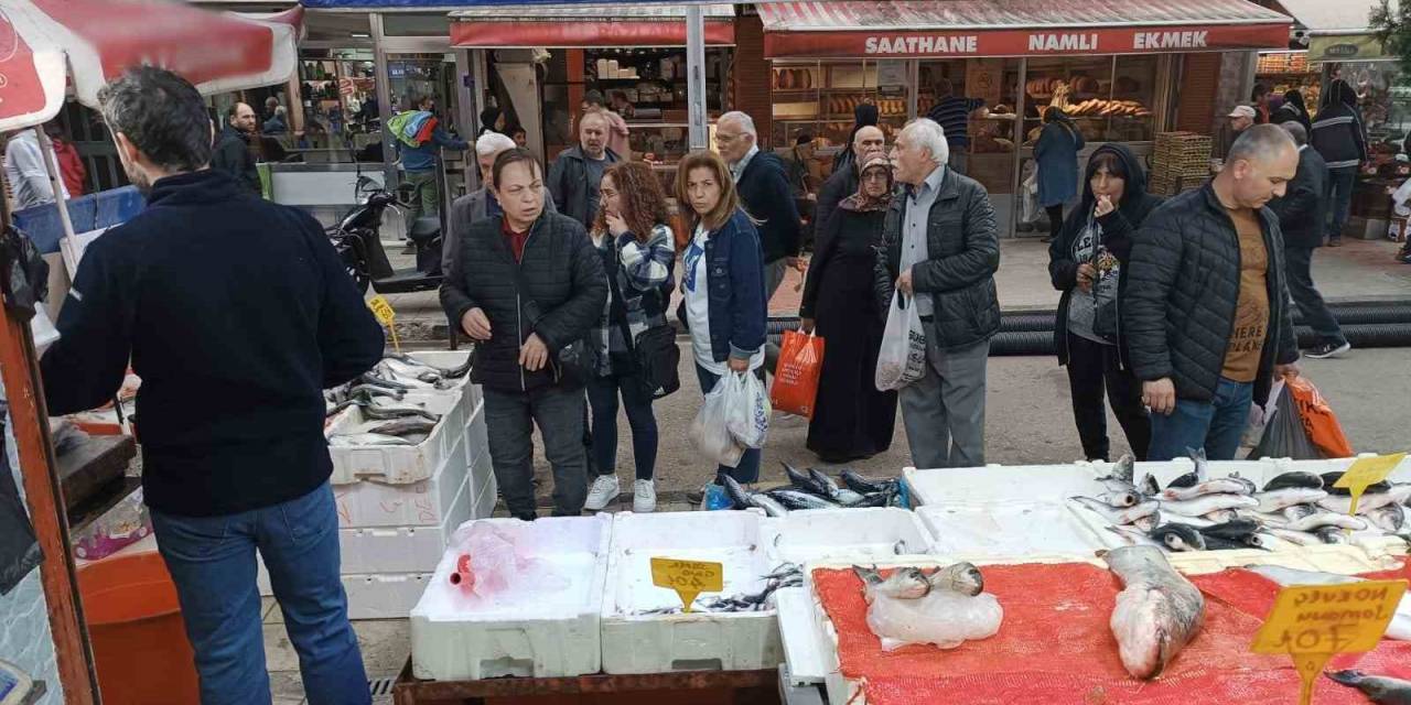 Kültür Balıklarına İlgi Yoğun