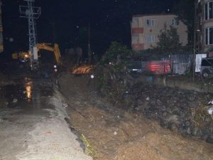 Vali Cirit Hopa’da İncelemelerde Bulundu