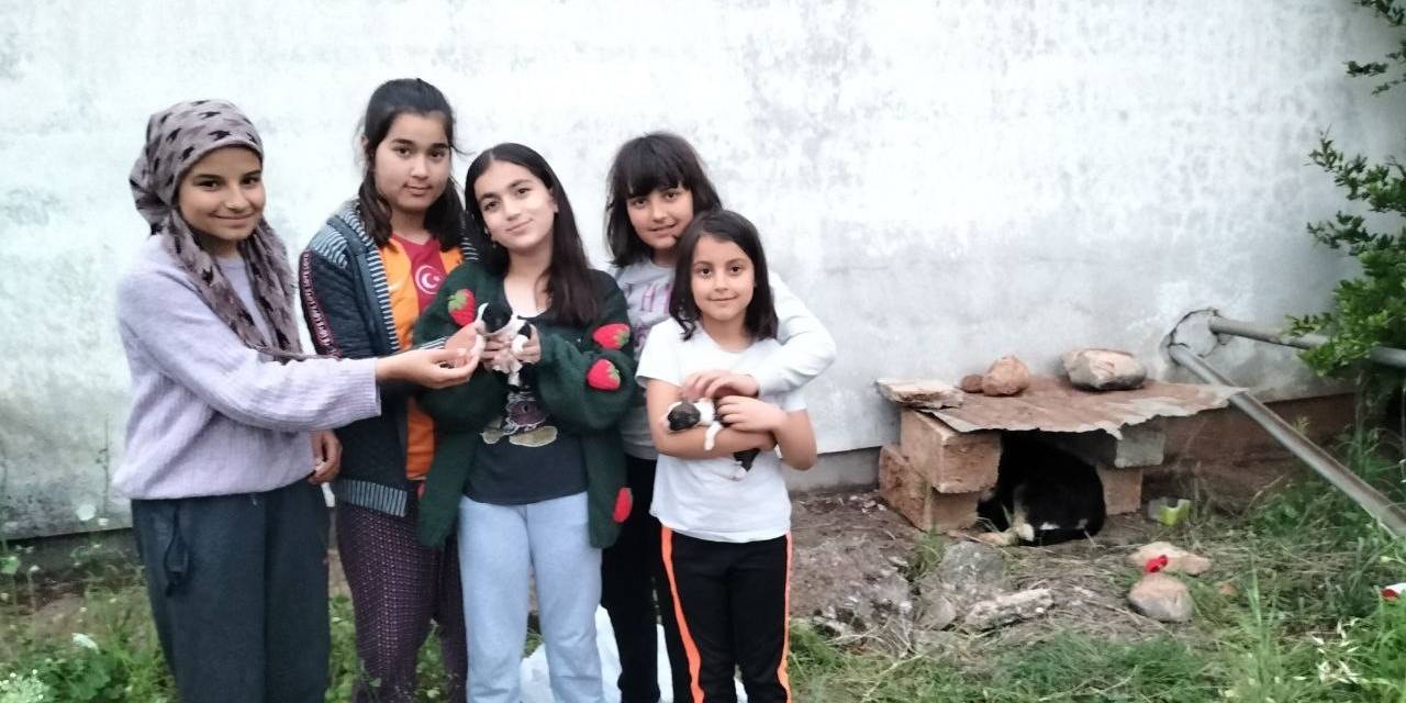 Çuvalda Buldukları 9 Yavru Köpeğe Sahip Çıktılar, Annelerine De Kavuşturdular