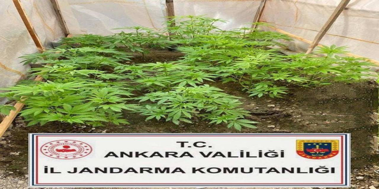 Başkentte Uyuşturucuyla Mücadele Çalışmaları Hız Kesmeden Devam Ediyor