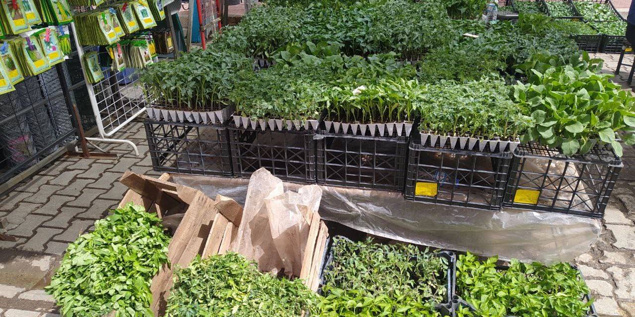 Van’da Fide Ve Tohum Satışları Başladı