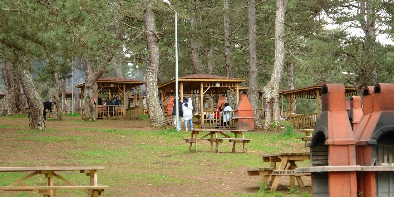 Küçükelmalı Tabiat Parkı Hafta Sonlarının Vazgeçilmez Mekanları Arasında