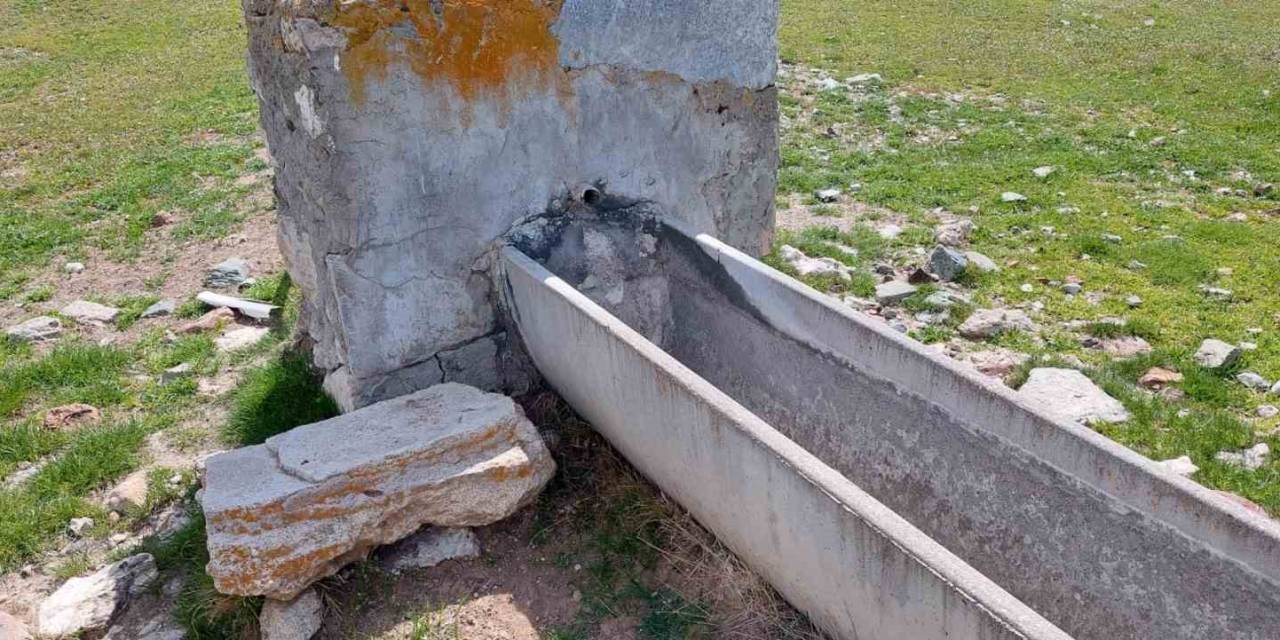 Kırka’da Hayvanlar Susuz Kalmayacak