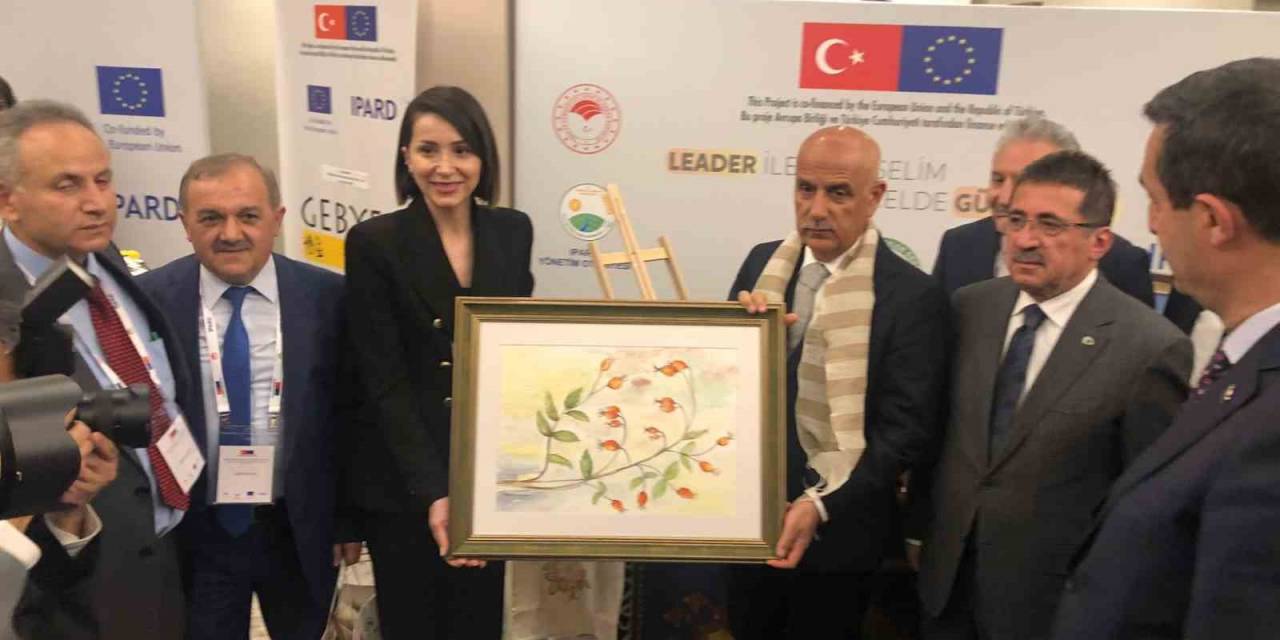 Kavak Yeg Başarısı