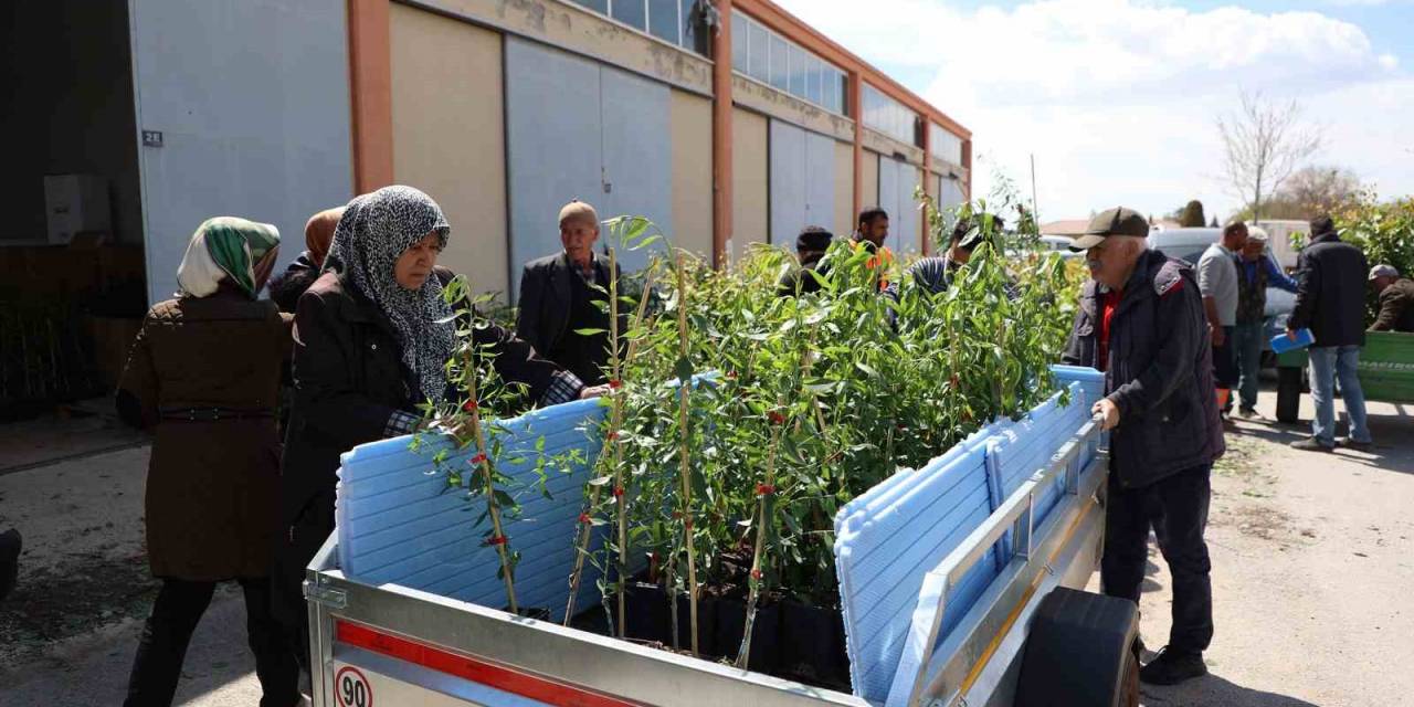 Konya Büyükşehir 31 İlçede Ürün Çeşitliliğini Artırmak İçin Çiftçiye Destek Oluyor