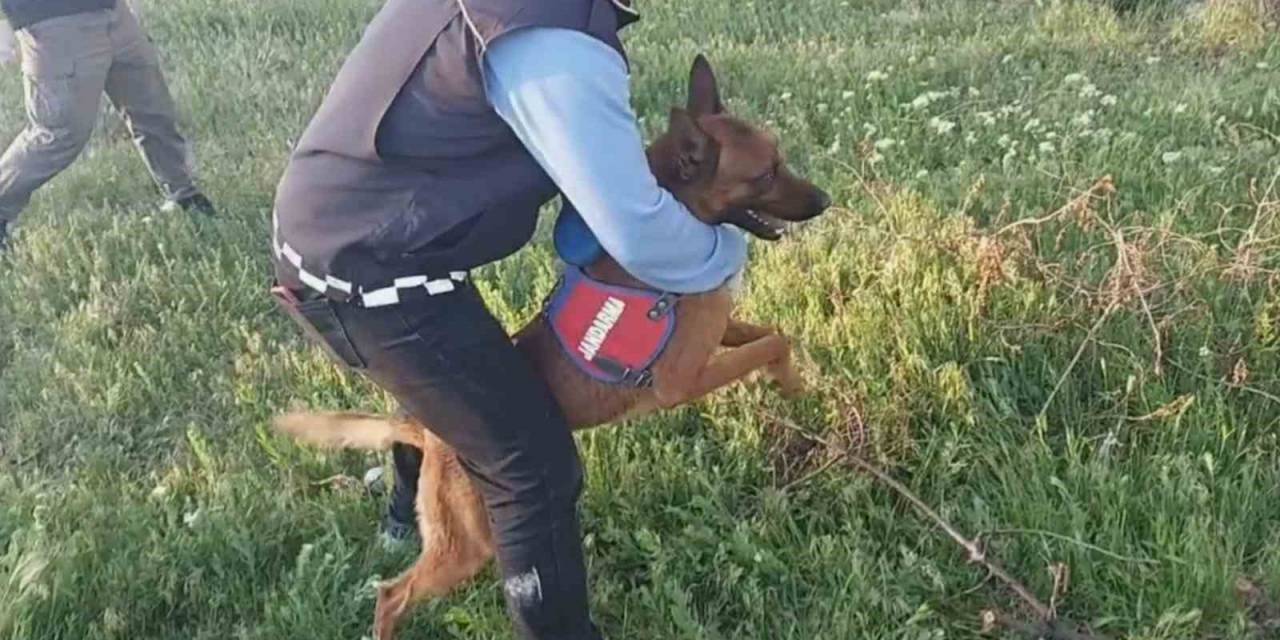 Aksaray’da Uyuşturucu Operasyonu: 5 Gözaltı
