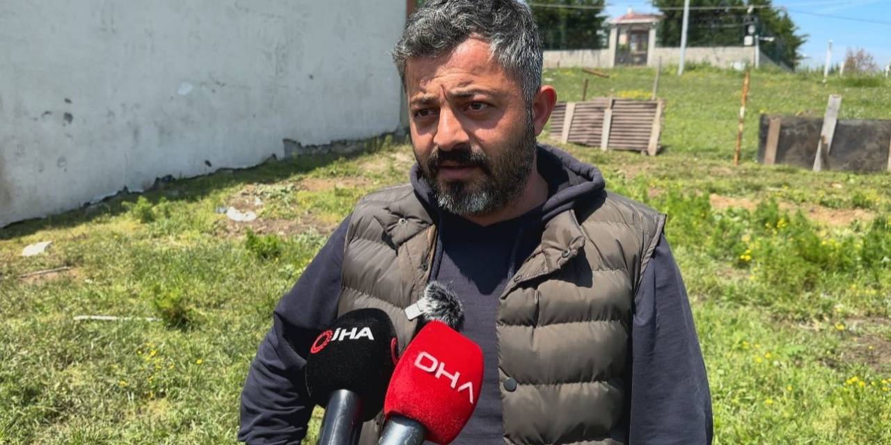 Sokak Köpeklerinin Saldırdığı 14 Kurbanlık Telef Oldu