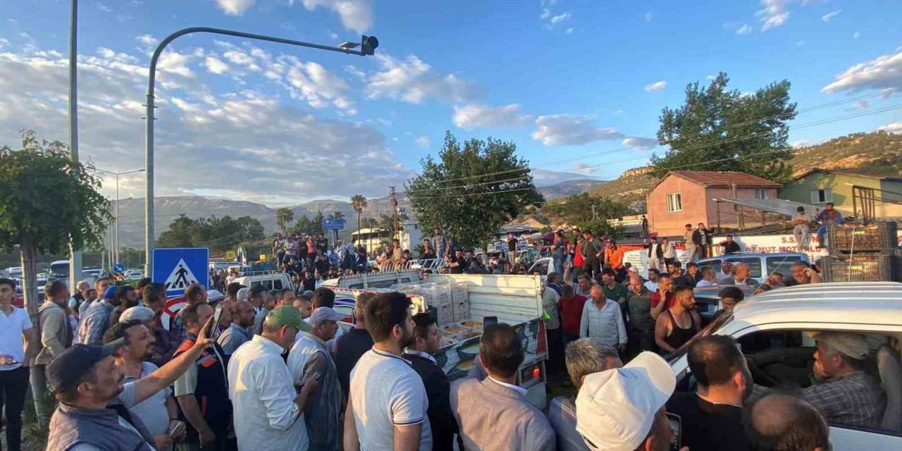 Mersin’de Kayısı 2 Günde 5 Liraya Düştü, Üretici Tepki Gösterdi