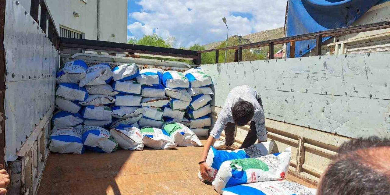 Adilcevaz’da 36 Çiftçiye 12 Bin 800 Kilogram Fasulye Tohumu Dağıtıldı