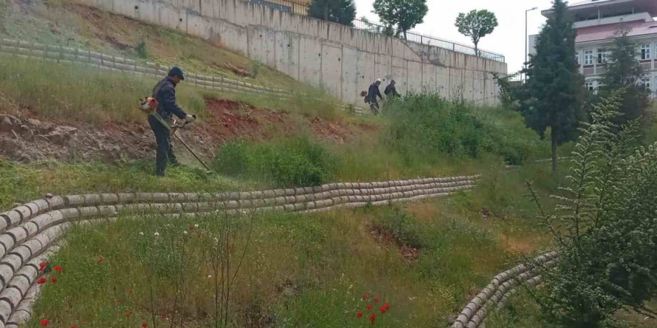 Dulkadiroğlu’nda Çevre Temizliği