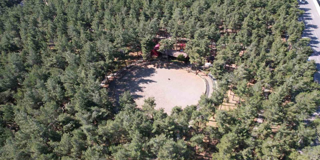 Depremin Merkez Üssünde Doğa Ve Mesire Alanları Da Sessiz Kaldı