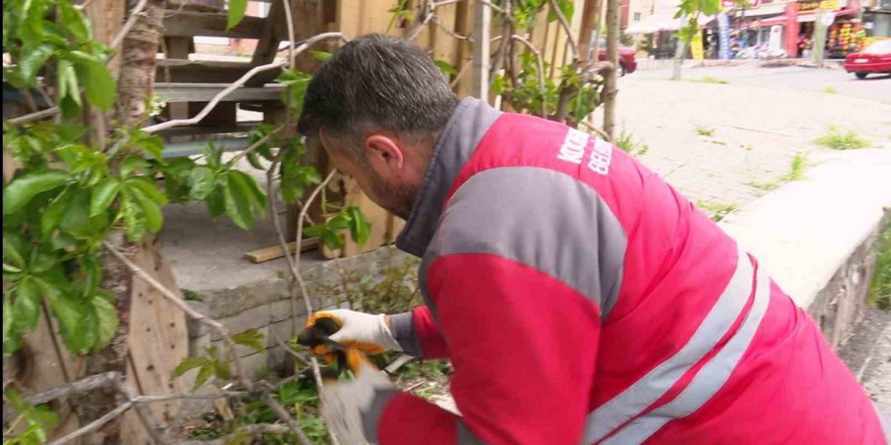 Yaralı Ebabil Kuşuna Kocasinan Belediyesi Sahip Çıktı