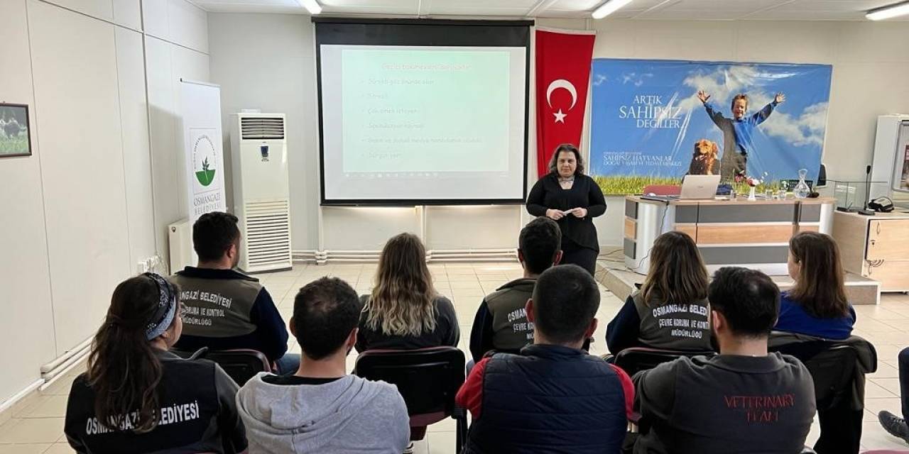 Osmangazi Barınak Personeline Mesleki Eğitim