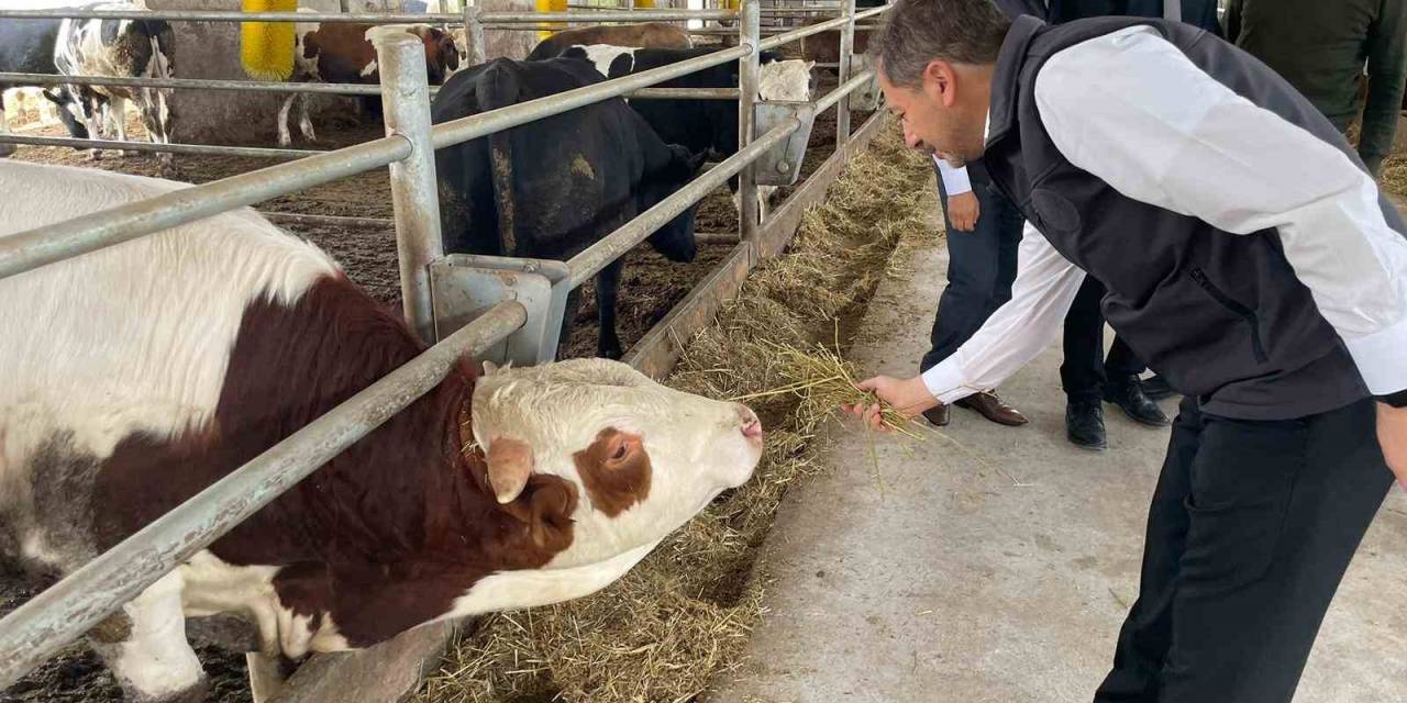 "geçen Yıl Kütahya’da Girişimcilere Tkdk’dan 106, Kırsal Kalkınma’dan 58 Destekleme Verildi"