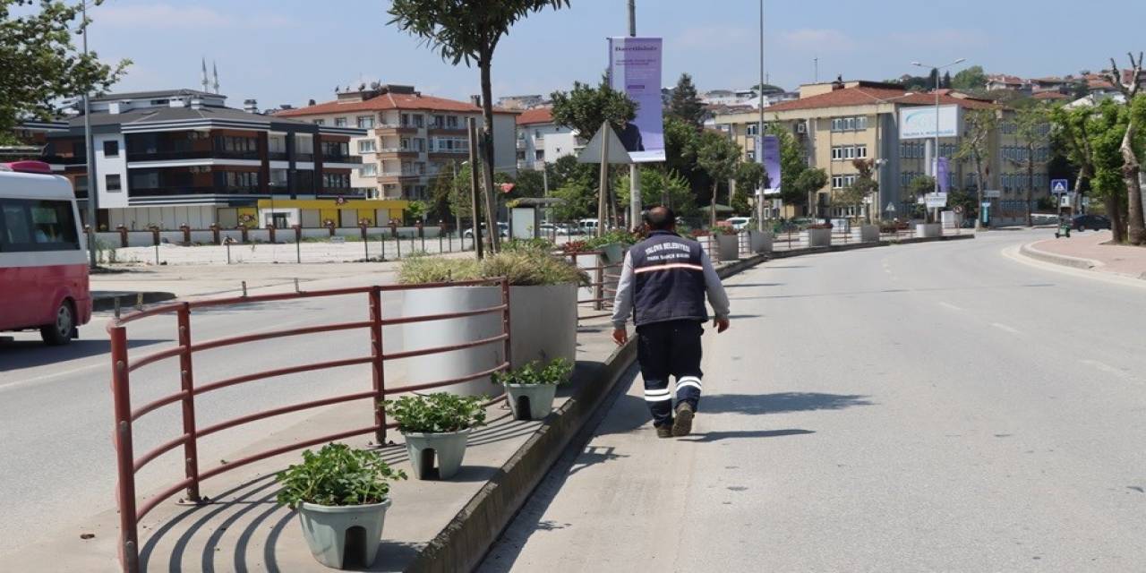 Yalova Belediyesi’nden Çiçeklendirme Çalışması