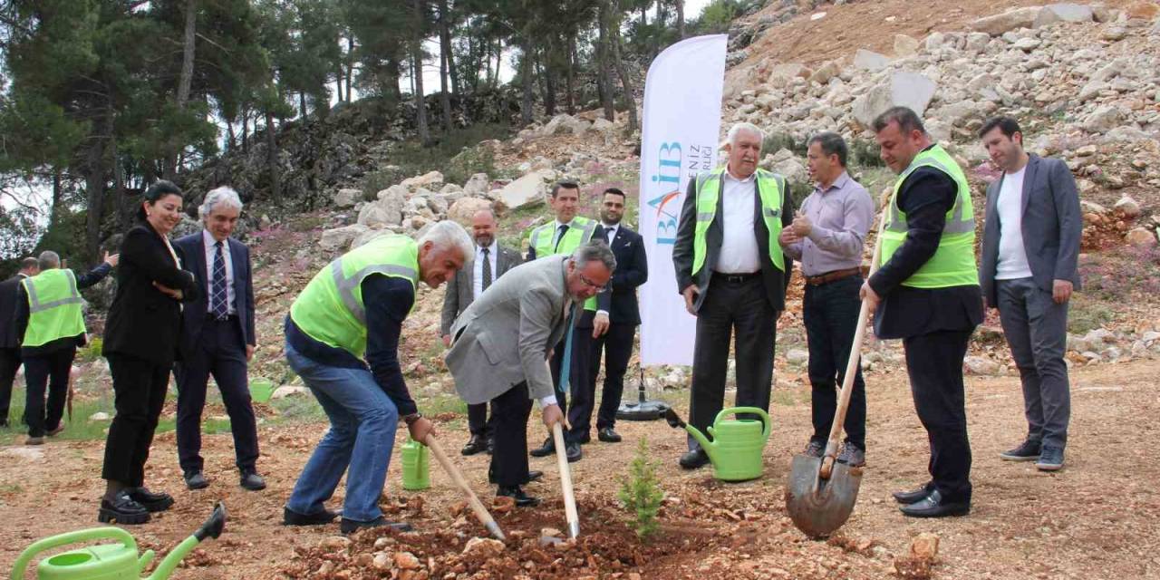 Terk Edilmiş Mermer Ocağı Rehabilite Edilerek Ağaçlandırıldı