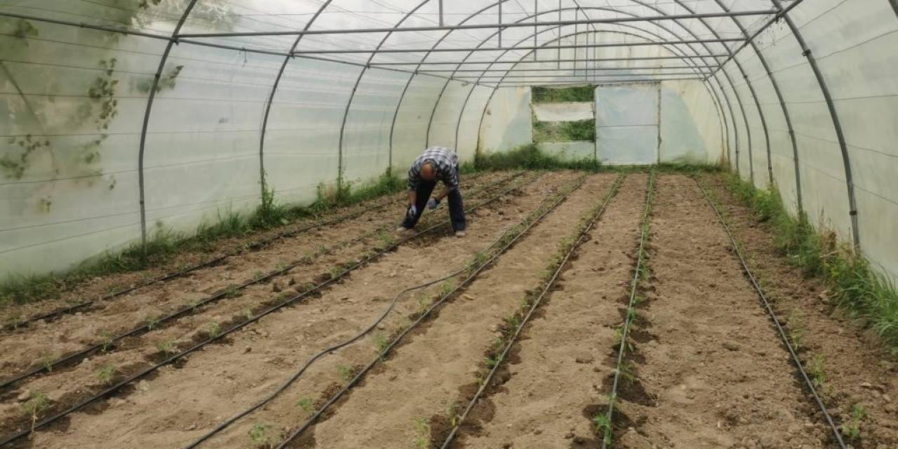 Zbeü’de ‘kampüs Bostanı’ Uygulaması Hayata Geçirildi