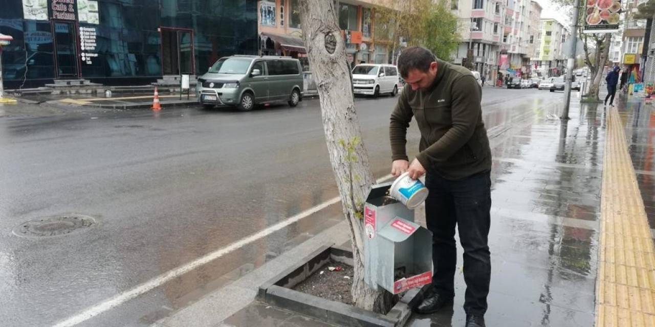 Kars Belediyesi 130 Noktada Sokak Köpeklerinin Beslenmesini Sağlıyor