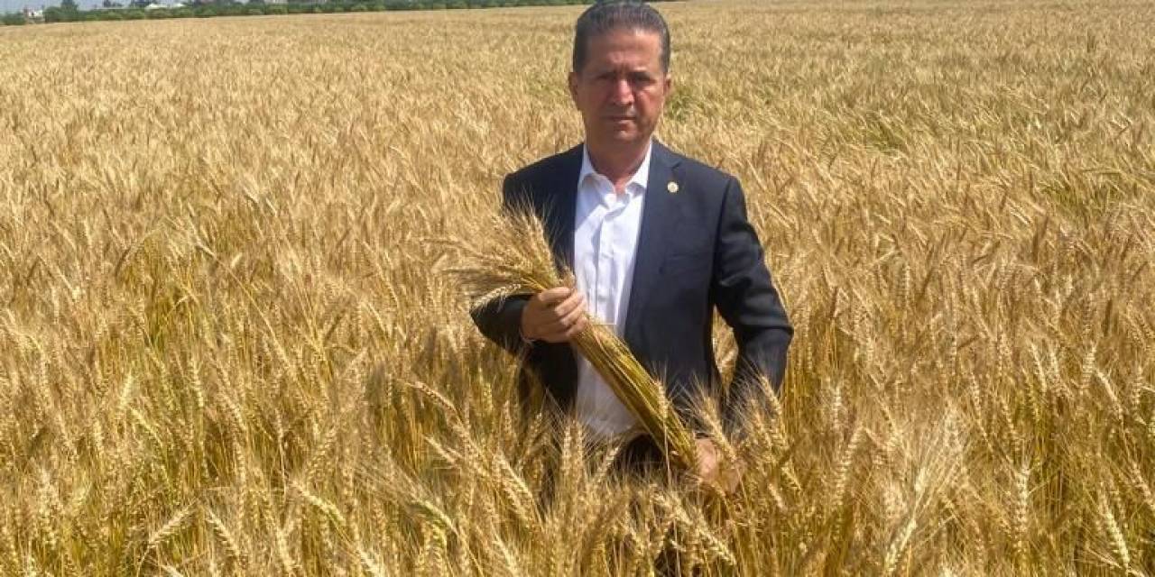 Üreticiler, Buğdayda Fiyat Bekliyor