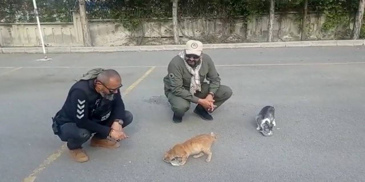 Kayseri Polisi, Depremin Merkez Üssündeki Hayvanlara Şefkat Eli Uzatıyor