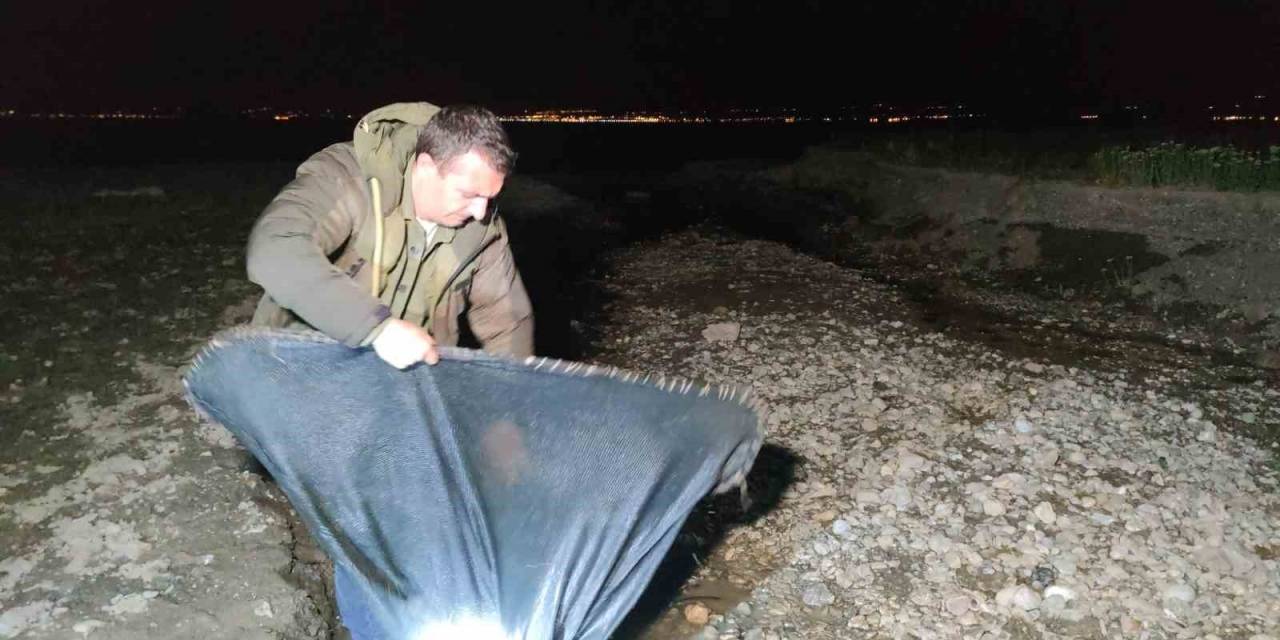 İnci Kefali İçin Gece Denetimi