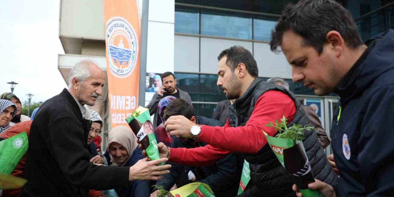 Gemlik Belediyesi’nden Organik Tarıma Destek