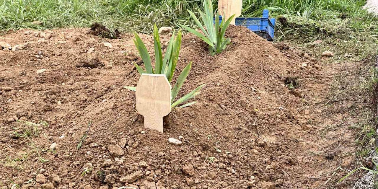 Ölü Bulunan 5 Aylık Bebeğin Bakımsızlıktan Öldüğü Ortaya Çıktı: Anne Ve Sevgilisi Tutuklandı