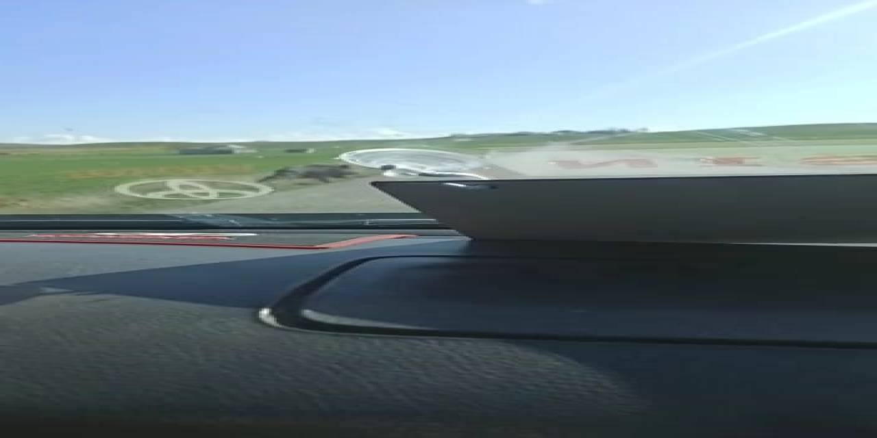 Sürücülerin Korkulu Rüyası Yaban Domuzları Yola Çıkmaya Devam Ediyor